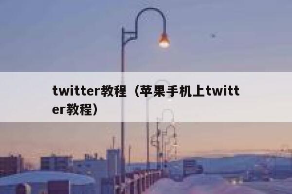 twitter教程（苹果手机上twitter教程） 第1张