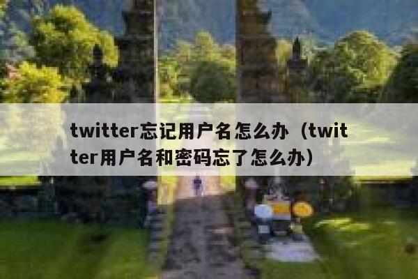 twitter忘记用户名怎么办（twitter用户名和密码忘了怎么办） 第1张