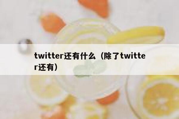 twitter还有什么（除了twitter还有） 第1张
