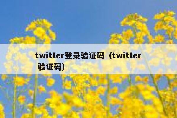 twitter登录验证码（twitter 验证码） 第1张