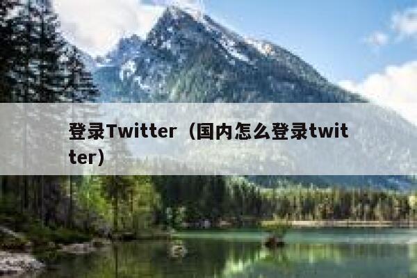 登录Twitter（国内怎么登录twitter） 第1张