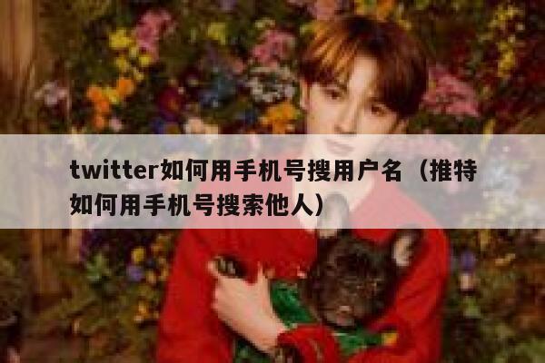 twitter如何用手机号搜用户名（推特如何用手机号搜索他人） 第1张