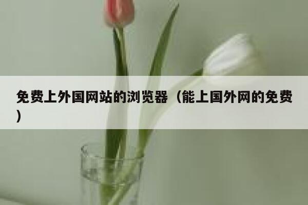 免费上外国网站的浏览器（能上国外网的免费） 第1张