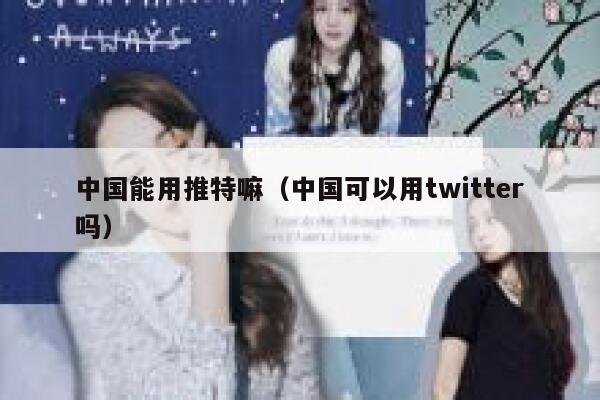 中国能用推特嘛（中国可以用twitter吗） 第1张