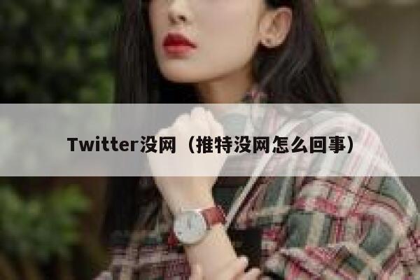 Twitter没网（推特没网怎么回事） 第1张