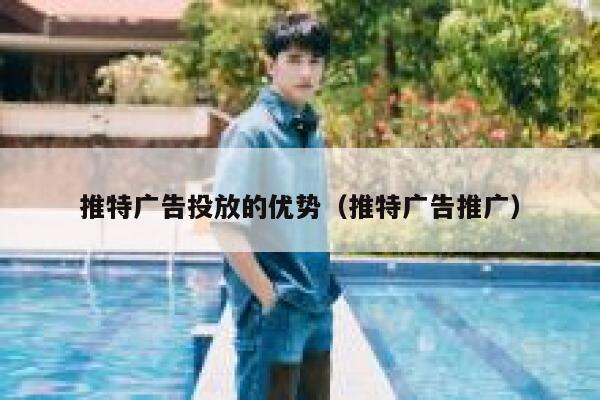 推特广告投放的优势（推特广告推广） 第1张