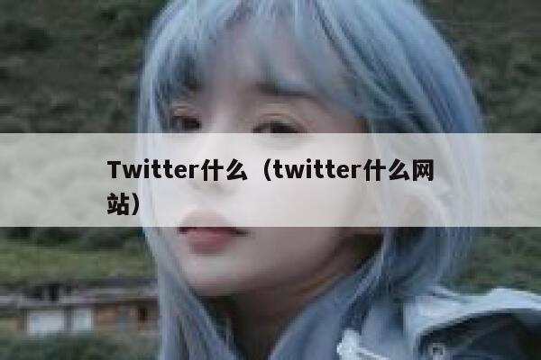 Twitter什么（twitter什么网站） 第1张