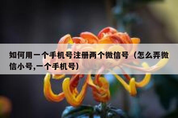 如何用一个手机号注册两个微信号（怎么弄微信小号,一个手机号） 第1张