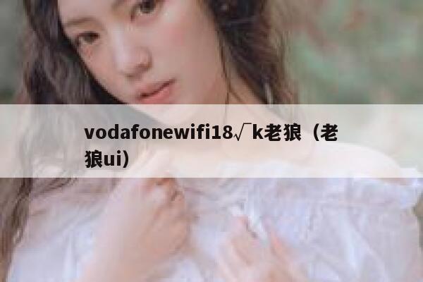 vodafonewifi18√k老狼（老狼ui） 第1张