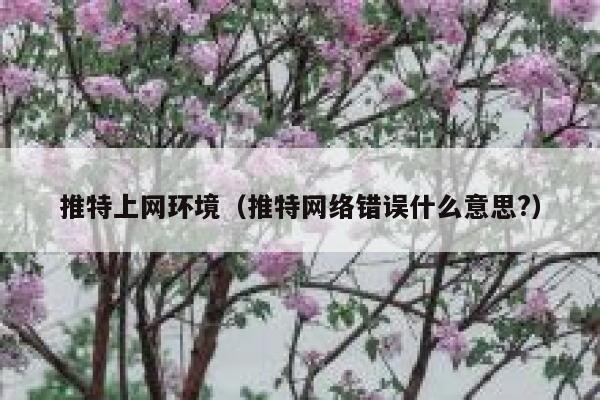 推特上网环境（推特网络错误什么意思?） 第1张