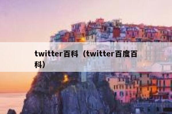 twitter百科（twitter百度百科） 第1张