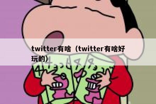 twitter有啥（twitter有啥好玩的） 第1张