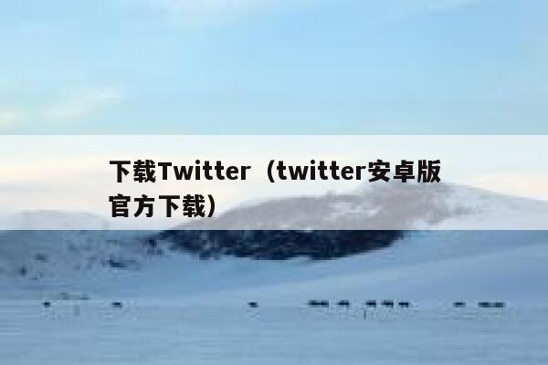 下载Twitter（twitter安卓版官方下载） 第1张