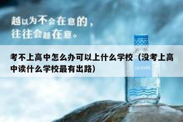 考不上高中怎么办可以上什么学校（没考上高中读什么学校最有出路） 第1张