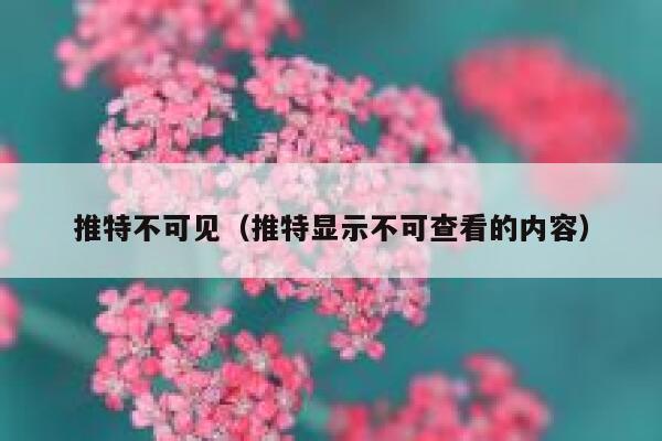 推特不可见（推特显示不可查看的内容） 第1张