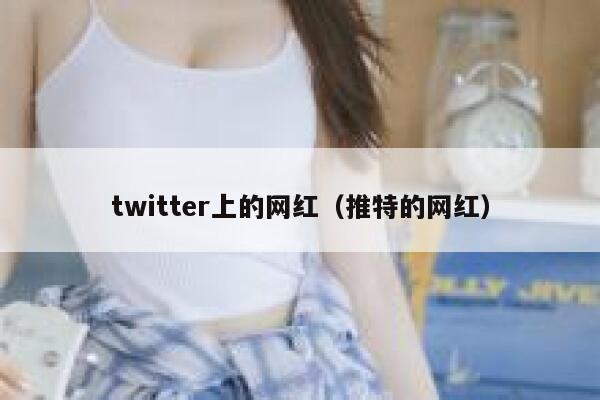 twitter上的网红（推特的网红） 第1张