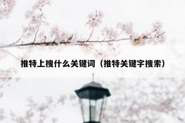 推特上搜什么关键词（推特关键字搜索） 第1张