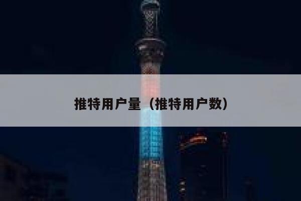 推特用户量（推特用户数） 第1张