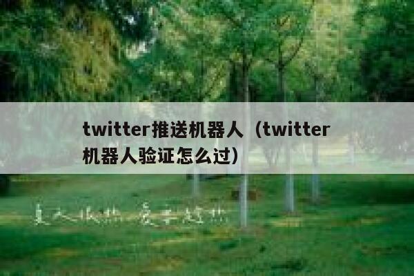 twitter推送机器人（twitter机器人验证怎么过） 第1张
