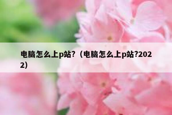 电脑怎么上p站?（电脑怎么上p站?2022） 第1张