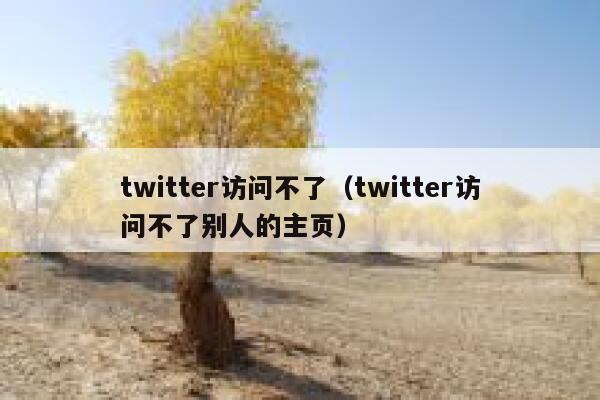 twitter访问不了（twitter访问不了别人的主页） 第1张