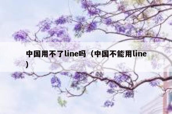 中国用不了line吗（中国不能用line） 第1张