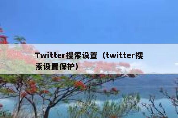 Twitter搜索设置（twitter搜索设置保护） 第1张