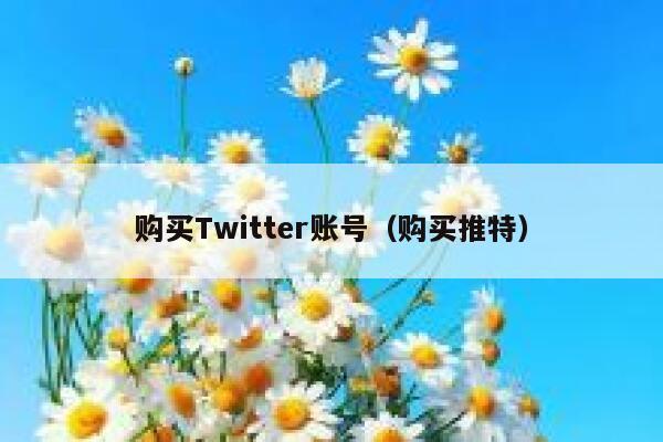 购买Twitter账号（购买推特） 第1张