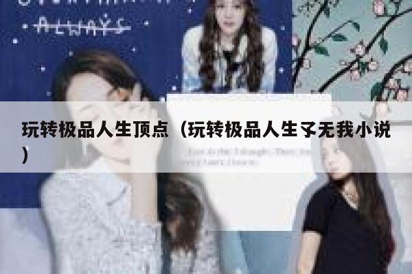 玩转极品人生顶点（玩转极品人生孓无我小说） 第1张