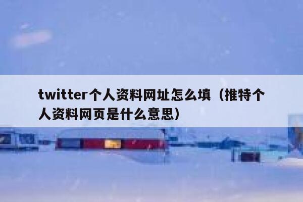 twitter个人资料网址怎么填（推特个人资料网页是什么意思） 第1张