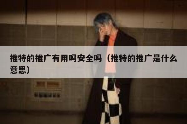 推特的推广有用吗安全吗（推特的推广是什么意思） 第1张