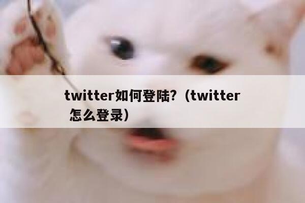 twitter如何登陆?（twitter 怎么登录） 第1张
