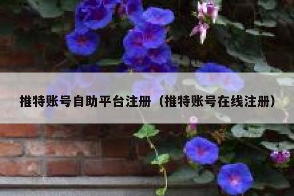 推特账号自助平台注册（推特账号在线注册） 第1张