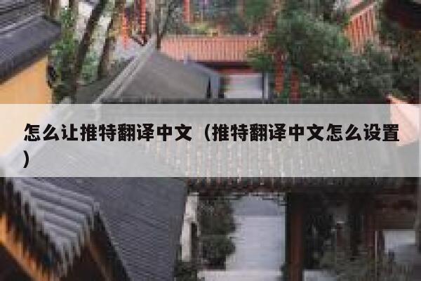 怎么让推特翻译中文（推特翻译中文怎么设置） 第1张