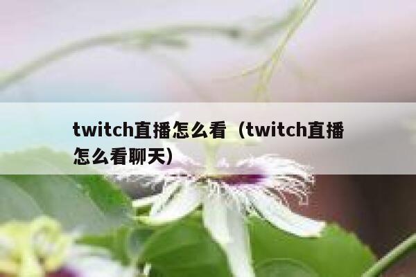 twitch直播怎么看（twitch直播怎么看聊天） 第1张