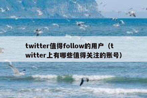 twitter值得follow的用户（twitter上有哪些值得关注的账号） 第1张