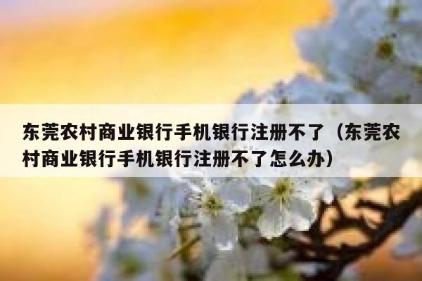 东莞农村商业银行手机银行注册不了（东莞农村商业银行手机银行注册不了怎么办） 第1张