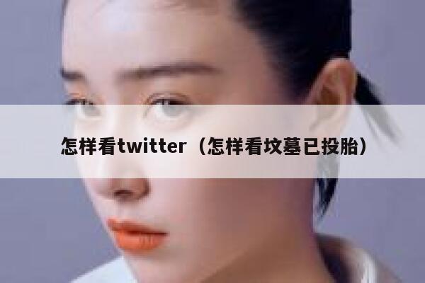 怎样看twitter（怎样看坟墓已投胎） 第1张