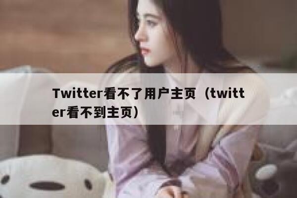 Twitter看不了用户主页（twitter看不到主页） 第1张
