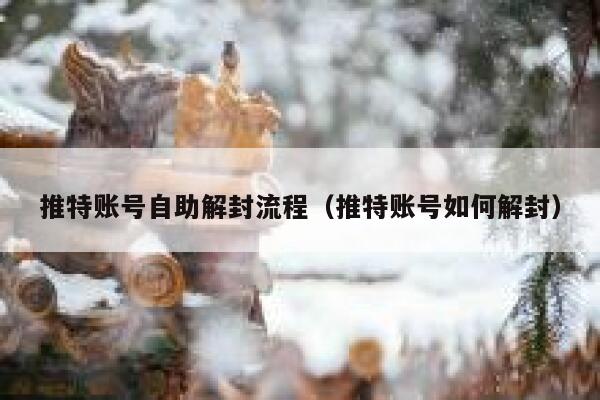 推特账号自助解封流程（推特账号如何解封） 第1张