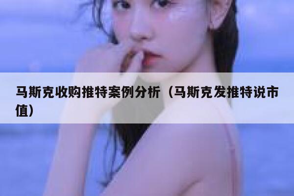 马斯克收购推特案例分析（马斯克发推特说市值） 第1张