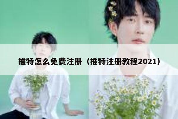 推特怎么免费注册（推特注册教程2021） 第1张