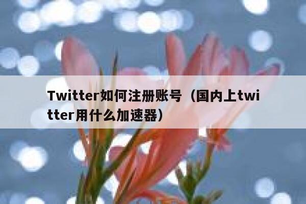 Twitter如何注册账号（国内上twitter用什么加速器） 第1张