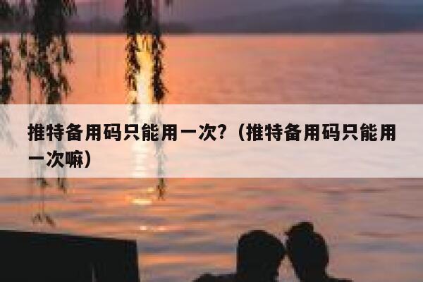 推特备用码只能用一次?（推特备用码只能用一次嘛） 第1张