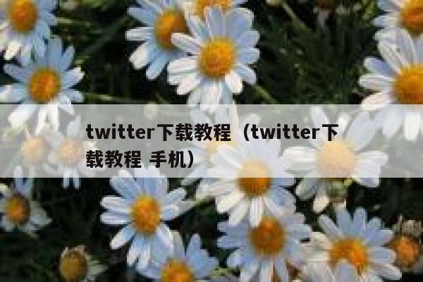 twitter下载教程（twitter下载教程 手机） 第1张