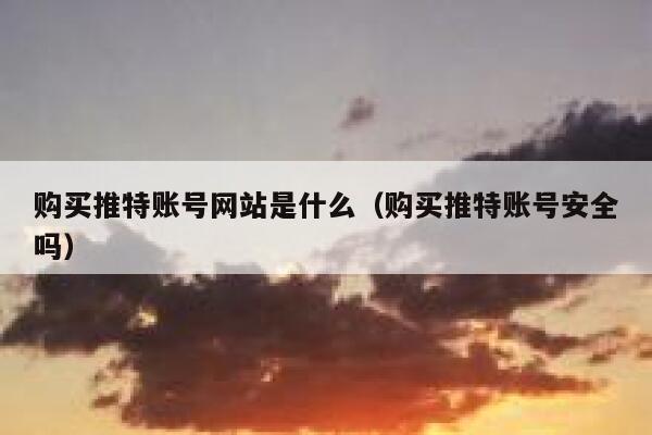 购买推特账号网站是什么（购买推特账号安全吗） 第1张