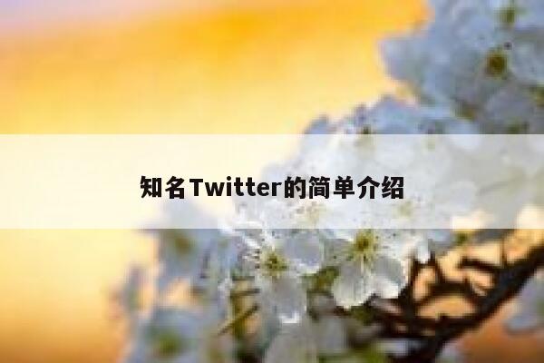 知名Twitter的简单介绍 第1张