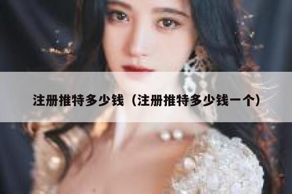 注册推特多少钱（注册推特多少钱一个） 第1张