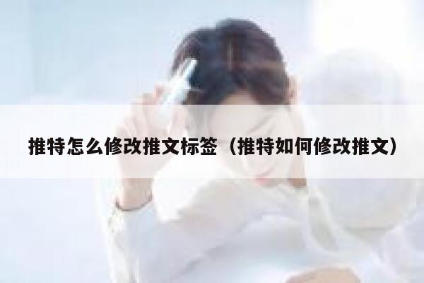 推特怎么修改推文标签（推特如何修改推文） 第1张