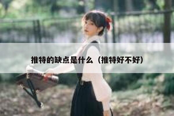 推特的缺点是什么（推特好不好） 第1张